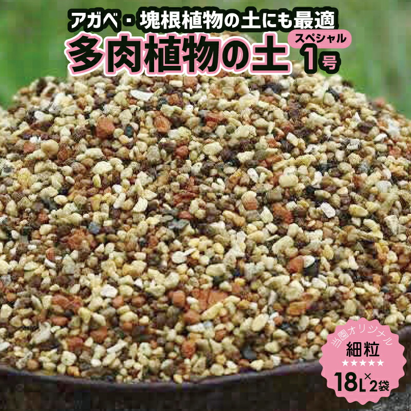 ウィンターセール執り行なう！