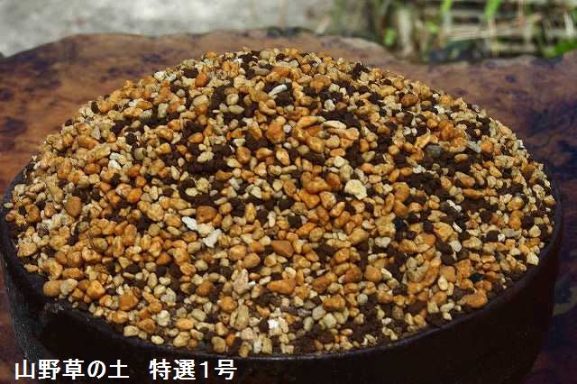 【肥料付】　ピートモス・腐葉土混入のない　天然鉱物質100%　乾きの早い 最高品質の特選「山野草の土」 1号(細目) 　弊園謹製　手練り（長期肥料付）　18L×2袋　【ポット・鉢植え専用/ 山草系山野草/夏半日陰の宿根草向き】【用土】