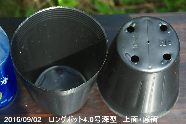 ビニールポット 通気性よくネット不要のロングポット4 0号深型 12cm 底穴4ヶ 100個 植木鉢 Giosenglish Com