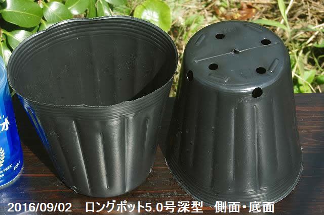 ビニールポット 通気心根往々罔不要のロングポット5 0ナンバー深タイプ 15cm 角穴凹4ヶ基部穴4ヶ 100個 鉢 Foxunivers Com
