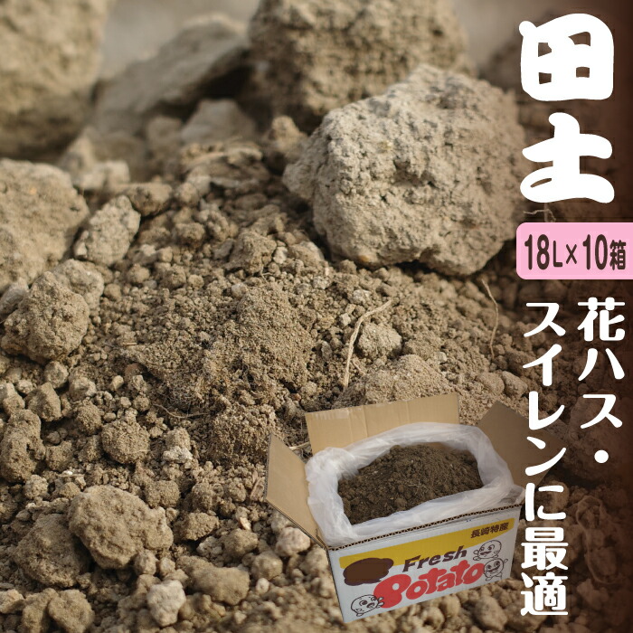 ウィンターセール執り行なう！