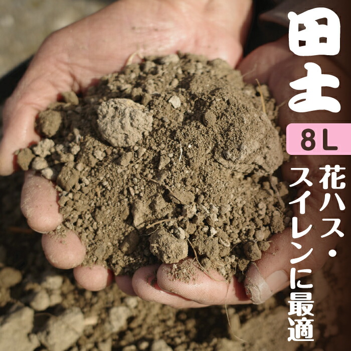 市場 硬質 中粒 選べる3袋 各14L サツキ盆栽用土 盆栽の土 小粒 山野草の土 送料無料 宿根草の土 鹿沼土