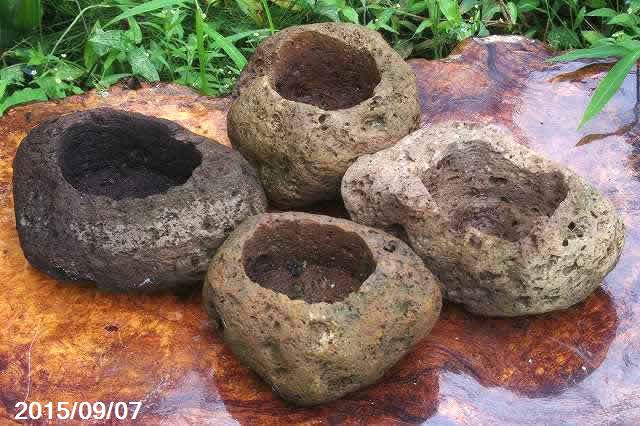 楽天市場 薩摩産 軽石鉢 4ヶ組 大 苔盆栽 山野草鉢 多肉植物鉢 植木鉢 石田精華園 楽天市場店