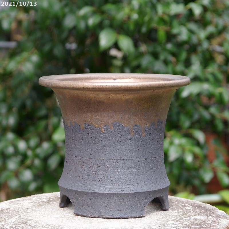 万年青鉢 蘭鉢 おもと 信楽焼 鉢 まとめ売り エコメルカリ便