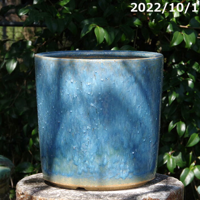 選べる ブルーガラス 寸胴 8号 サナサービス 信楽焼 植木鉢【山野草鉢 多肉植物鉢 サボテン鉢 盆栽鉢 果樹苗 アガベ 塊根植物】【観葉植物鉢 オリーブ 樹木 花木 バラ】 7,810円