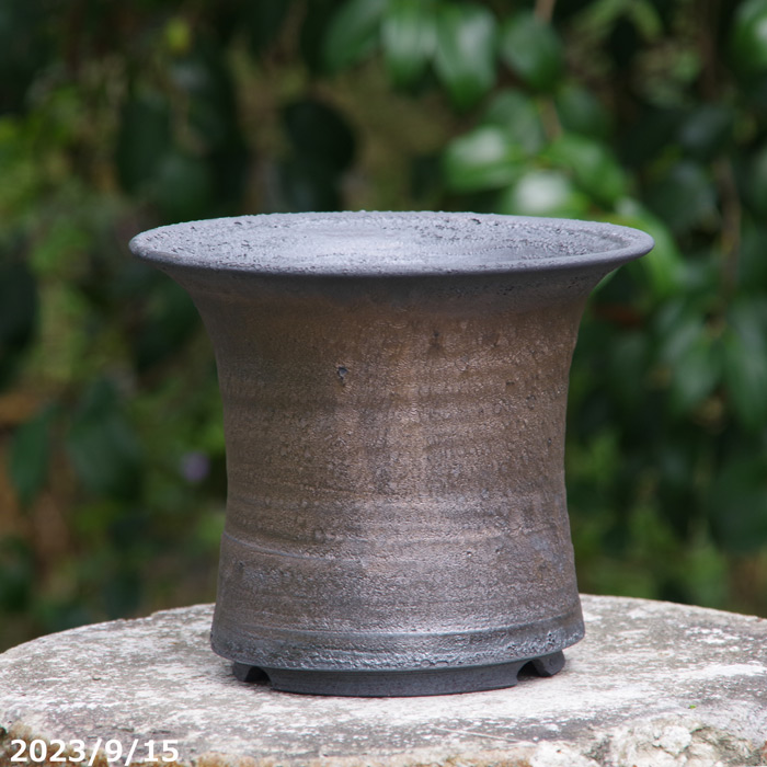 信楽焼 植木鉢 陶器 選べる 手びねり(ロクロ引き)金窯変 大深ソリ鉢 6号 サナサービス【山野草鉢 多肉植物鉢 サボテン鉢 盆栽鉢 花木樹木苗 果樹苗 アガベ 塊根植物 珍奇植物 ビザールプランツ 蘭ラン科植物 観葉植物】