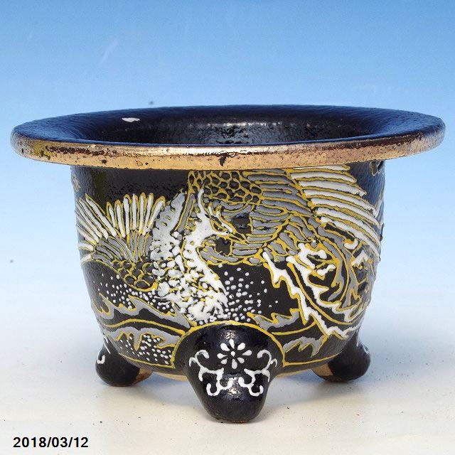 冨貴蘭綿鉢　龍山作 楽天市場】愛楽園 富貴蘭錦鉢 白鷹文様 3.5号 (No.3654)【京楽鉢/楽鉢