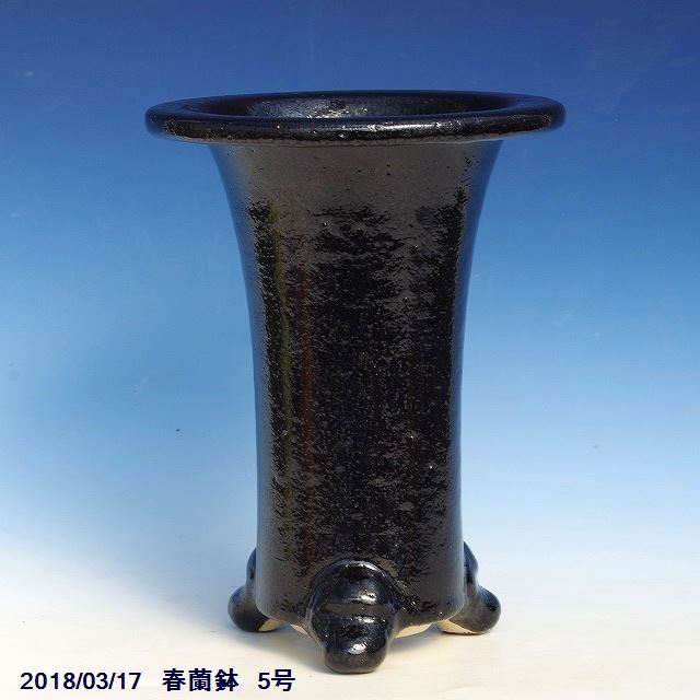 春蘭　鉢 楽天市場】※窯元直送 愛楽園 春蘭鉢 6号 ☆サナサービス☆【京楽鉢/楽