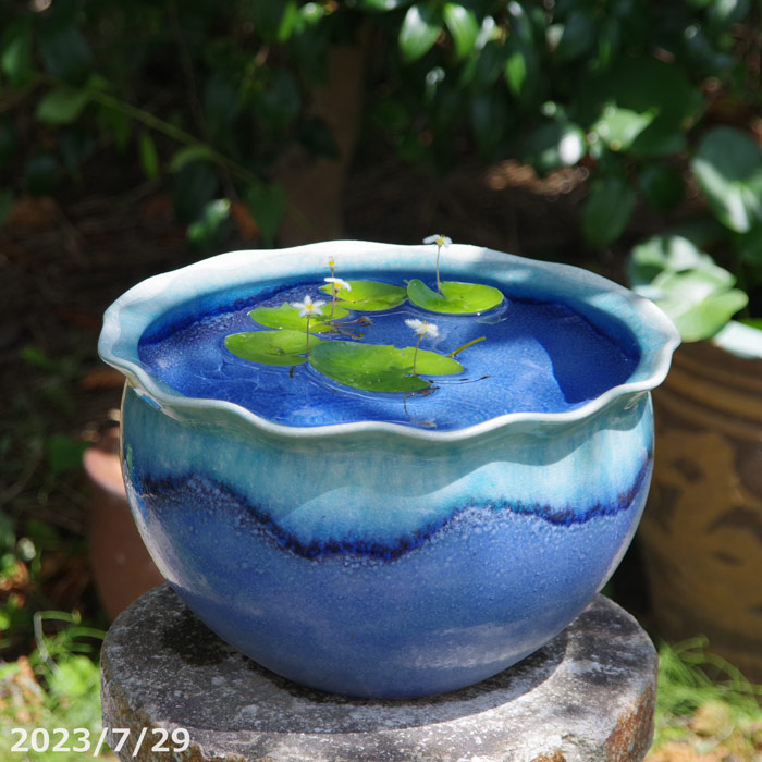 裸婦８　美術品　アート　陶器製　信楽焼　壁掛け 裸婦8 美術品 アート 陶器製 信楽焼 壁掛け