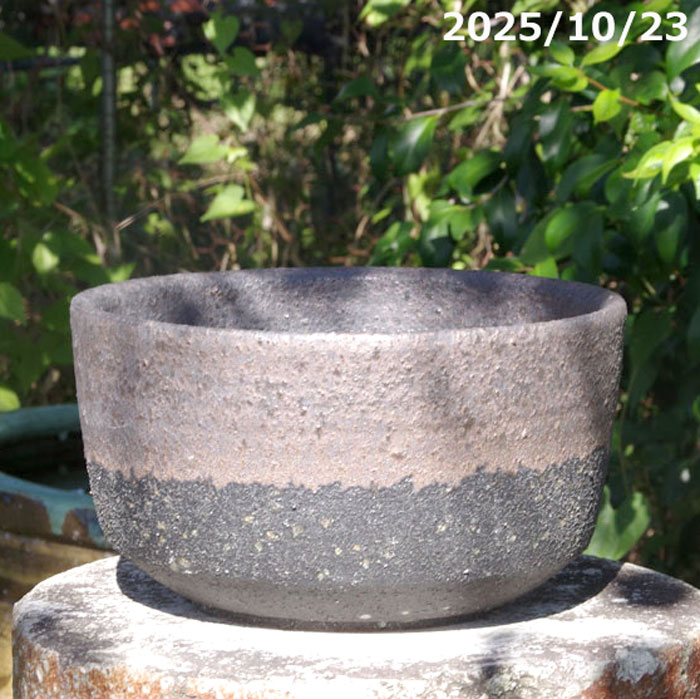 【現品・一点物No.7586】手びねり(ロクロ引き)　金彩上下掛分け 8号（外径24cm 高さ13.5cm） サナサービス　信楽焼 植木鉢 陶器 【送料無料】【山野草鉢 多肉植物鉢 サボテン鉢 盆栽鉢 果樹苗 アガベ 塊根植物 アデニウム コーデックス パキポディウム グラキリス】｜石田精華園　店