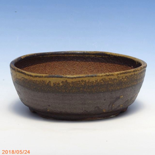 信楽焼 植木鉢 鉄釉ひねり浅鉢 6号 外径17cm 高さ6cm 苔盆栽鉢 多肉植物鉢 サボテン鉢 寄せ植え鉢 Gmofwi Com