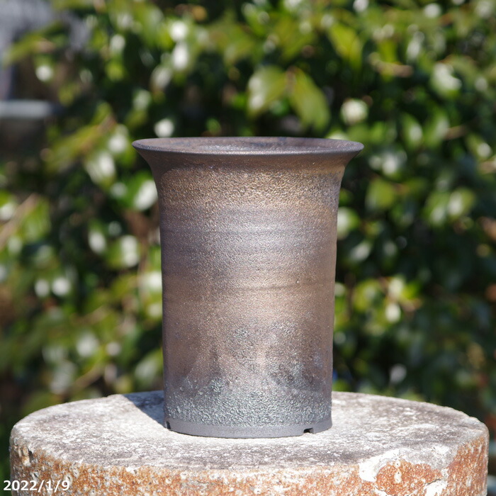 信楽焼 植木鉢 陶器　手びねり(ロクロ引き)　黒信楽風　選べる　金窯変ラッパ型　5号　 サナサービス【山野草鉢 多肉植物鉢 サボテン鉢】