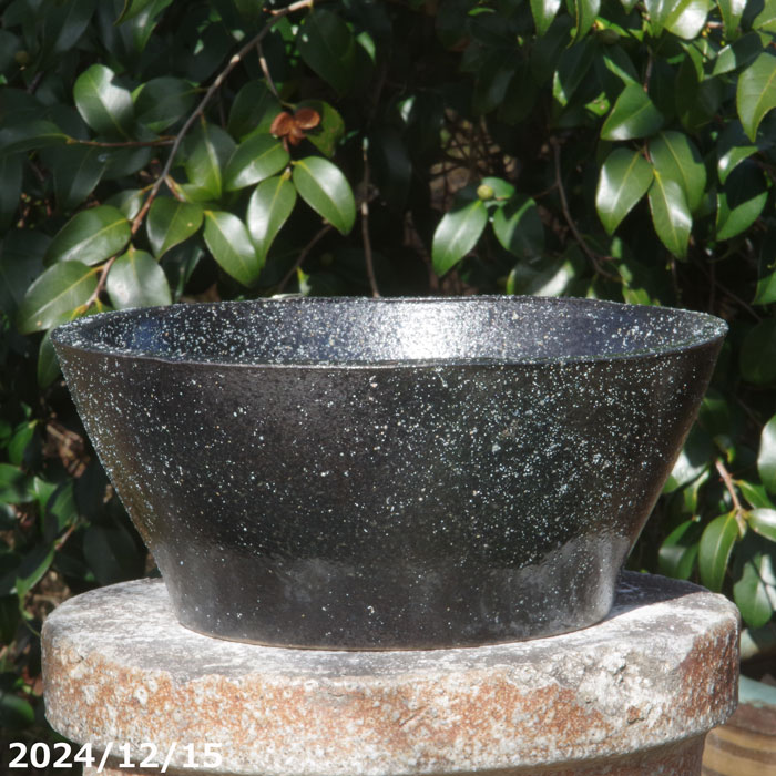 信楽焼 睡蓮鉢 陶器　黒窯変　ソリ浅水鉢 10号（外径30cm 高さ12.5cm）＋お好きな水草＋メダカ3匹(死着保証無) プレゼント 【送料無料】【セット 水鉢 メダカ鉢 金魚鉢 ハス鉢 茶碗蓮鉢 ビオトープ スイレン鉢 水生植物鉢 カキツバタ鉢】