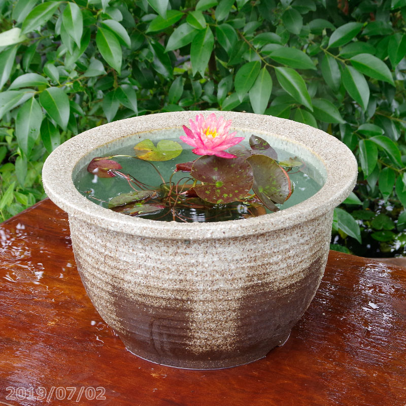 【対応】 信楽焼 睡蓮鉢 陶器 大型　灰釉千段 13号（水あふれ防止小穴有）（外径41cm 高さ25cm）【送料無料】【産地直送】【水鉢 メダカ鉢 金魚鉢 ハス鉢 茶碗蓮鉢 ビオトープ スイレン鉢】【メダカオーバーフロー防止】 _Kto