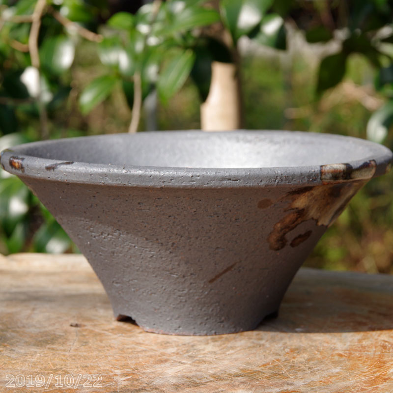 楽天市場】植木鉢 横田秀邦作 ミニ盆栽鉢(直径5cm)【山野草鉢