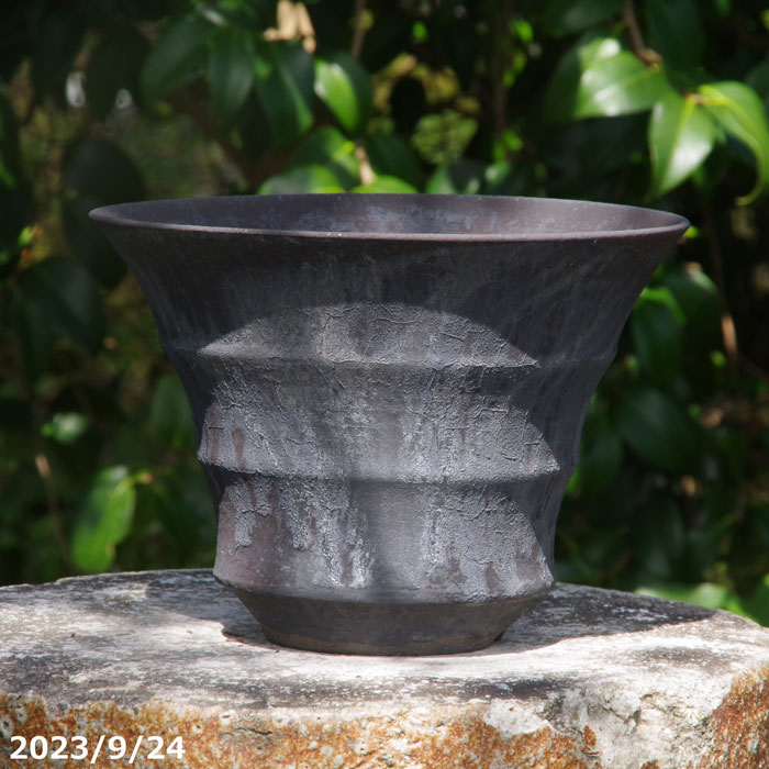 信楽焼 植木鉢 陶器 手びねり(ロクロ引き) 選べる 黒鉄釉(黒窯変) 波形(L) 6.5号 サナサービス【送料無料】【山野草鉢 多肉植物鉢 サボテン鉢 盆栽鉢 果樹苗 アガベ 塊根植物】|石田精華園 店