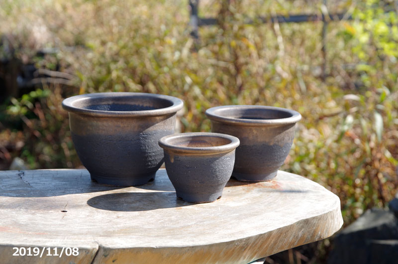 信楽焼 植木フラワーポット 関連性幸金彩内側深鉢 三つ組 3 5号 4 5号 5 5号 送料無料 山野牧草鉢 多肉植物鉢 カクタス鉢 盆栽鉢 Foxunivers Com