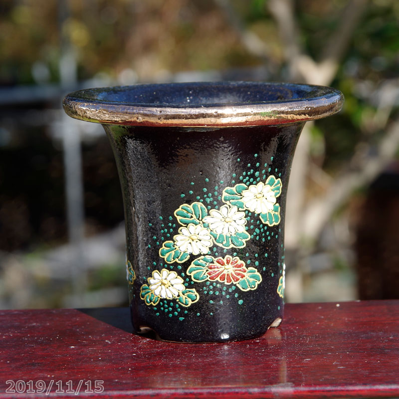 京楽焼 植木鉢 愛楽園 小菊文 切高台3.5号 長生蘭・石斛鉢