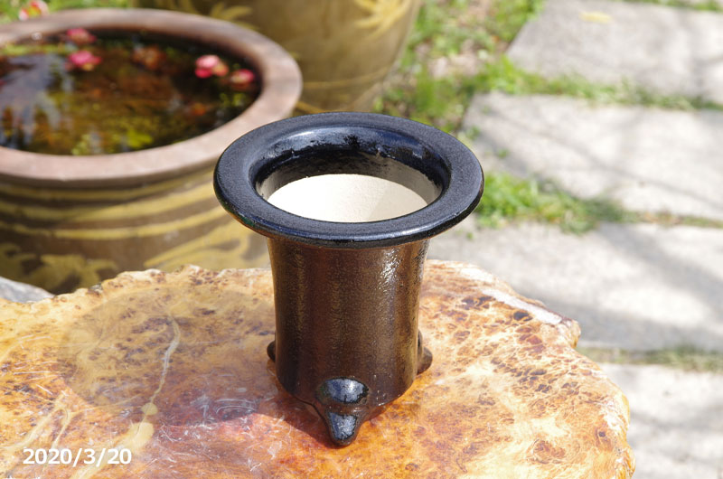 愛楽園 万年青鉢 6号 サナ付き 京楽鉢 楽鉢 黒楽鉢 京楽焼鉢 オモト鉢 おもと鉢 京楽焼植木鉢 Educaps Com Br