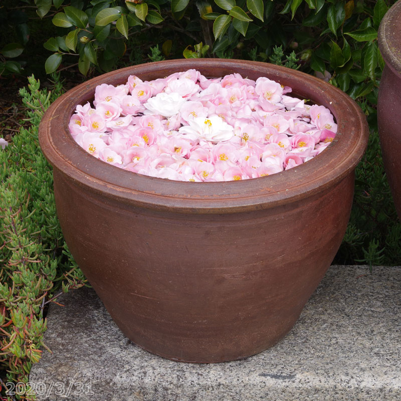 【対応】 アジアンテイスト南蛮焼　深鉢　水鉢　(中)　外径40cm　20L　【ハス鉢 蓮鉢 スイレン鉢 睡蓮鉢 メダカ鉢】【輸入商社直送のため同梱不可】