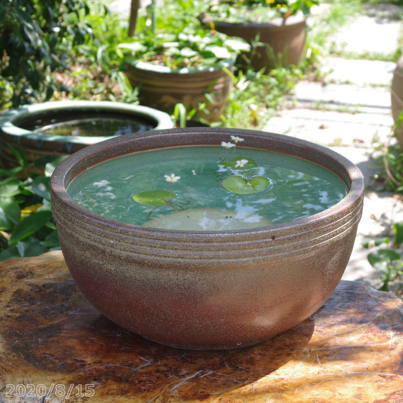 【対応】 信楽焼 睡蓮鉢 陶器 大型 窯肌ボール 13号(水あふれ防止小穴有)(外径40cm 高さ21cm)【送料無料】【産地直送】【水鉢 メダカ鉢 金魚鉢 ハス鉢 茶碗蓮鉢 スイレン鉢 水生植物鉢 カキツバタ鉢】【メダカオーバーフロー防止】 _Kto|石田精華園 店