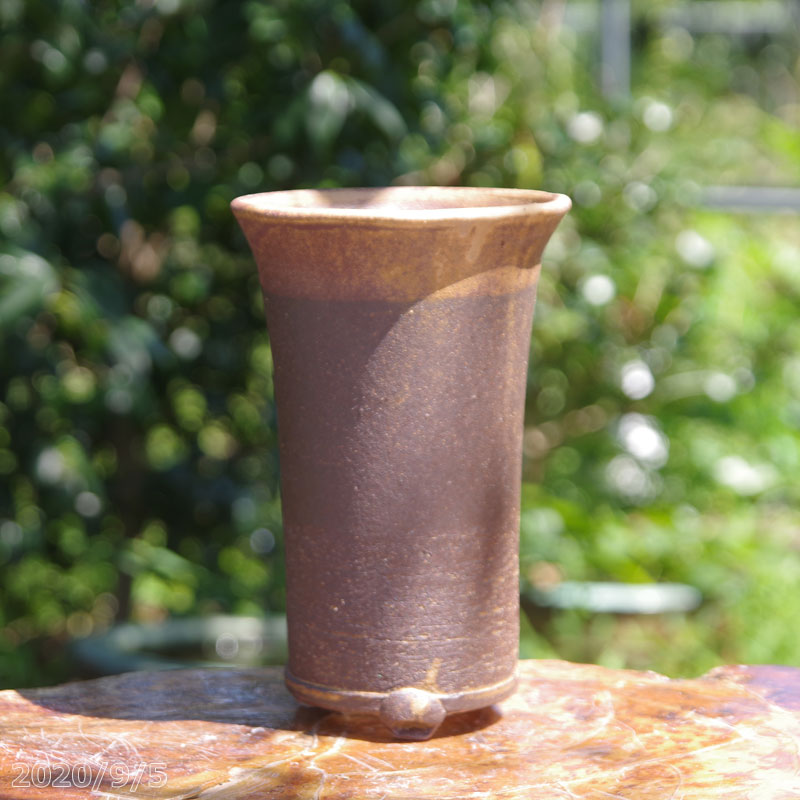 楽天市場】【最大50%OFFクーポン発行中！】寒蘭鉢 5.5号（外径18cm 高