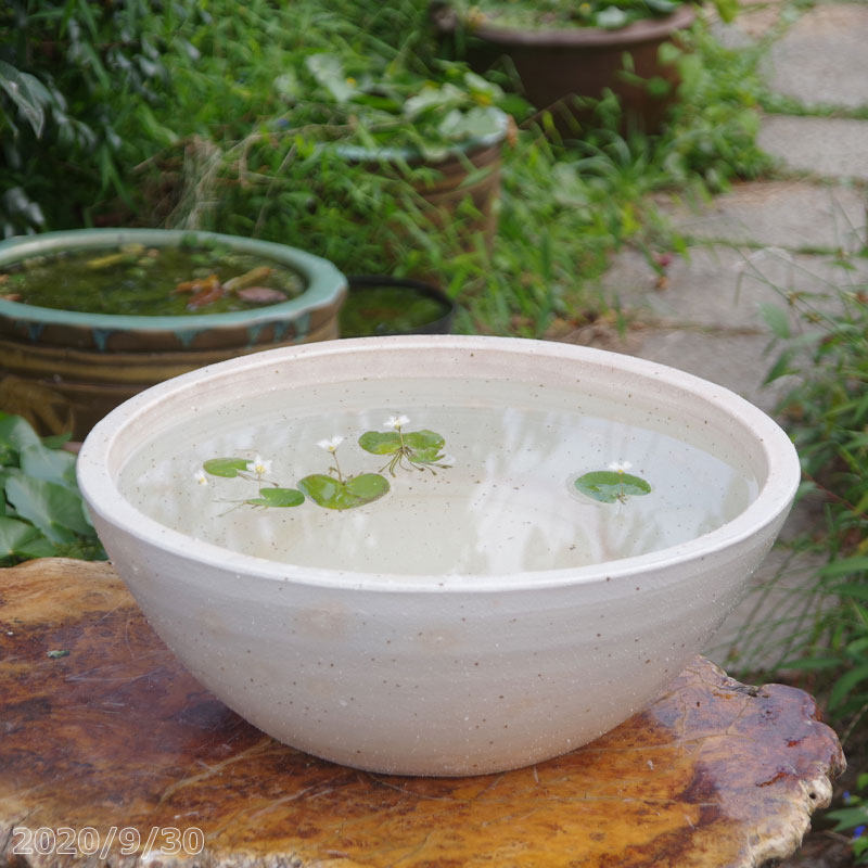 ウィンターセール執り行なう！