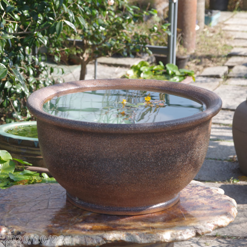 高評価 睡蓮鉢 おしゃれ メダカ鉢 花 ガーデン Diy 信楽焼 陶器 大型 金魚鉢 メダカ 鉢 植木鉢 プランター 送料無料 ビオトープ めだか鉢 水鉢 ハス鉢 スイレン鉢 信楽焼き 花器 水盤 あす楽対応 信楽焼 睡蓮鉢 窯肌ケズリ鈴型水鉢 18号 外径55cm 高さ29cm 高評価 睡蓮鉢 おしゃれ メダカ鉢 花 ガーデン Diy 信楽焼 陶器 大型 金魚鉢 メダカ 鉢 植木鉢 プランター 送料無料 ビオトープ めだか鉢 水鉢 ハス鉢 スイレン鉢 信楽焼き 花器 水盤 あす楽対応 信楽焼 睡蓮鉢 窯肌ケズリ鈴型水鉢 18号 外径55cm 高さ29cm