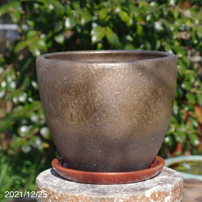 金彩10号（外径29cm　高さ24cm) ＋ 受皿8号（24cm）セット 選べる2色有 信楽焼 植木鉢 【陶器 大型 屋外】【山野草鉢 多肉植物鉢 サボテン鉢 盆栽鉢 果樹苗 アガベ 塊根植物 アデニウム コーデックス パキポディウム グラキリス】