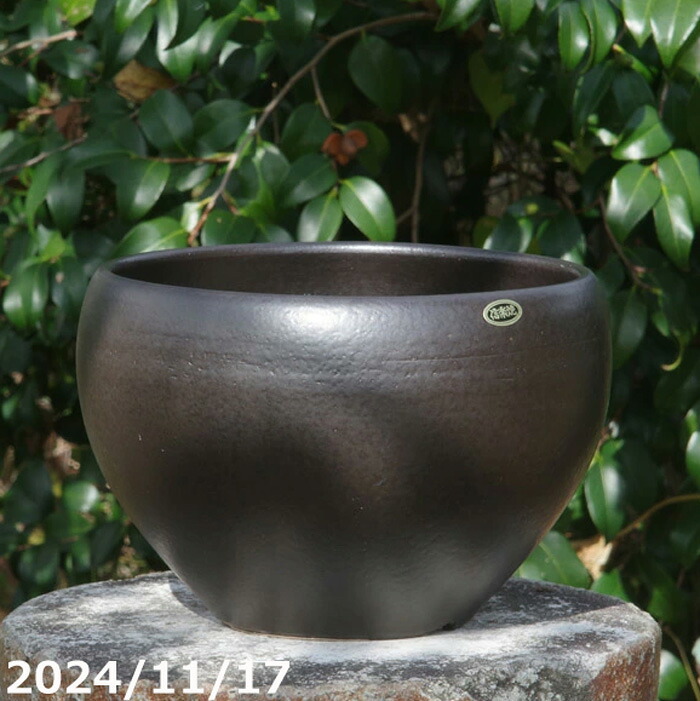 信楽焼 植木鉢　黒マット 　丸鉢8号　(外径24cm 高さ18.5cm) サナサービス 【山野草鉢 多肉植物鉢 サボテン鉢 盆栽鉢 花木樹木苗 果樹苗 アガベ 塊根植物 珍奇植物 ビザールプランツ 蘭ラン科植物 観葉植物】 7,388円