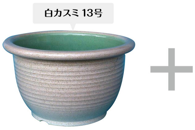 睡蓮鉢 メダカ鉢 金魚鉢 ビオトープに 信楽焼 白カスミ水鉢 13号 水あふれ防止穴あり 睡蓮アルバ他合計5点プレゼント 睡蓮鉢 めだか鉢 メダカ鉢 水鉢 信楽焼 蓮鉢 大型 陶器睡蓮鉢 水連鉢 中型品種 裸苗販売 スイレン すいれん 送料無料 Sbsc Doorsinmotioninc Com