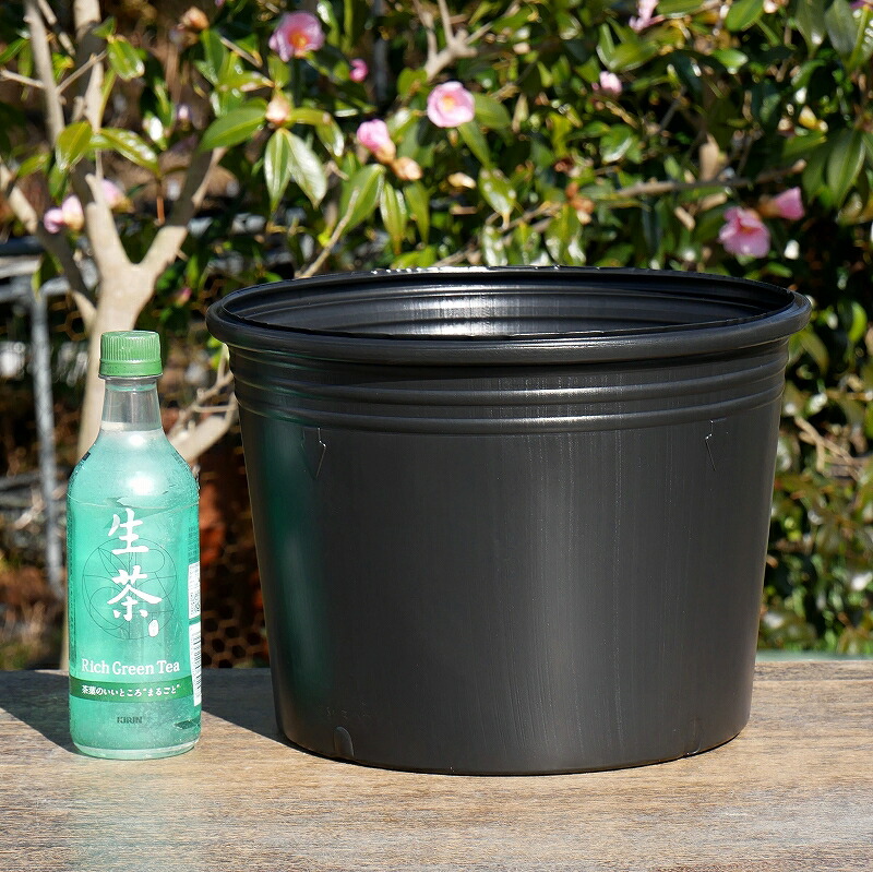 楽天市場】簡易持ち手つきポリポット（ビニールポット）10号(30cm) (底