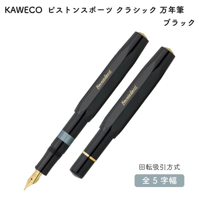 カヴェコ イリディセントパール 万年筆 限定 2022年の超人気万年筆！ カヴェコ イリディセント パール