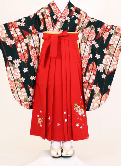 【賃借】【小学生 御召しもの 袴賃借】SC133/HC307黒茶しま花/真紅手まり花（御坊っちゃん 卒式 袴仕掛ける）