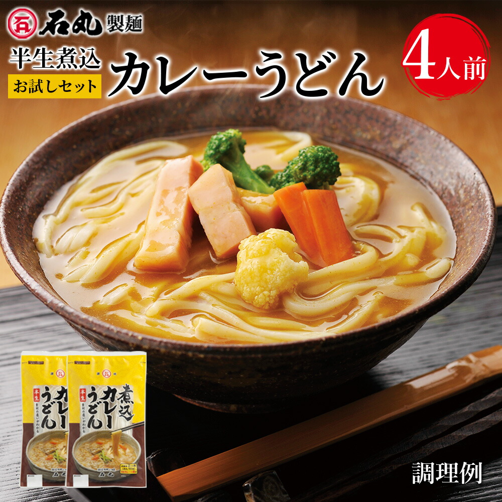 市場 HP-9半生煮込カレーうどんお試しセット 半生うどん 下ゆで不要 讃岐うどん 2袋 4人前