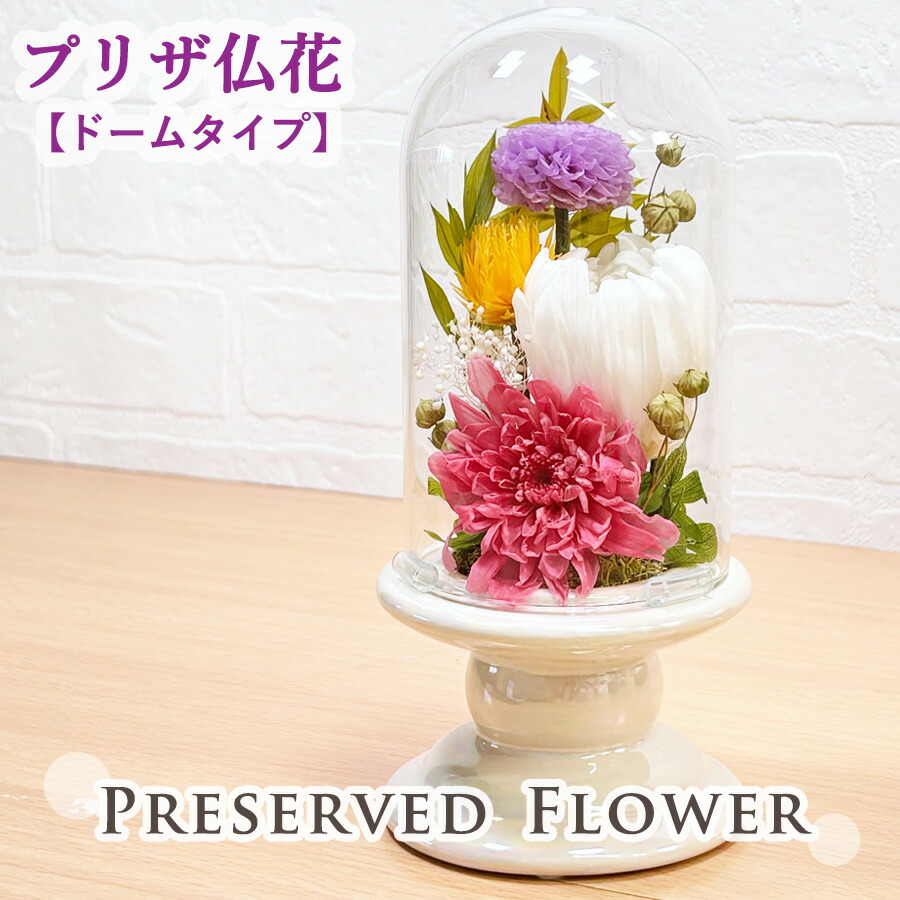 プリザーブドフラワー 凛 ことね菊 【ドームタイプ】 お供え 進物 仏花 仏壇用 法要 花ギフト きれいなお花 | 法事 お供え花 供え花 供花 ブリザード ブリザードフラワー 供養 お供え物 一周忌 枯れない花 贈答用 進物用 命日 花 手元供養 仏事 ギフト
