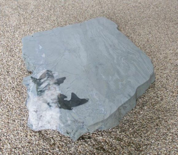 F-1　青御影石　丸い拝石　　３５ｃｍ丸　 3枚石　踏石　踏み石　飛び石　飛石　拝石　庭石 青御影石庭石⁄踏石⁄踏み石⁄飛石⁄飛び石⁄拝石３５ｃｍ丸２枚石：写真参照滑らない様に表面はザラザラ加工仕上黒玉有 | 石の里　 SiN