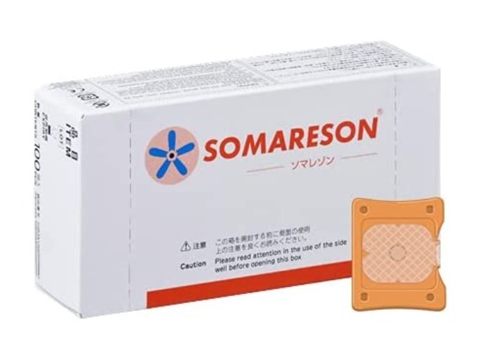 ソマレゾン L 100個入り口・入口