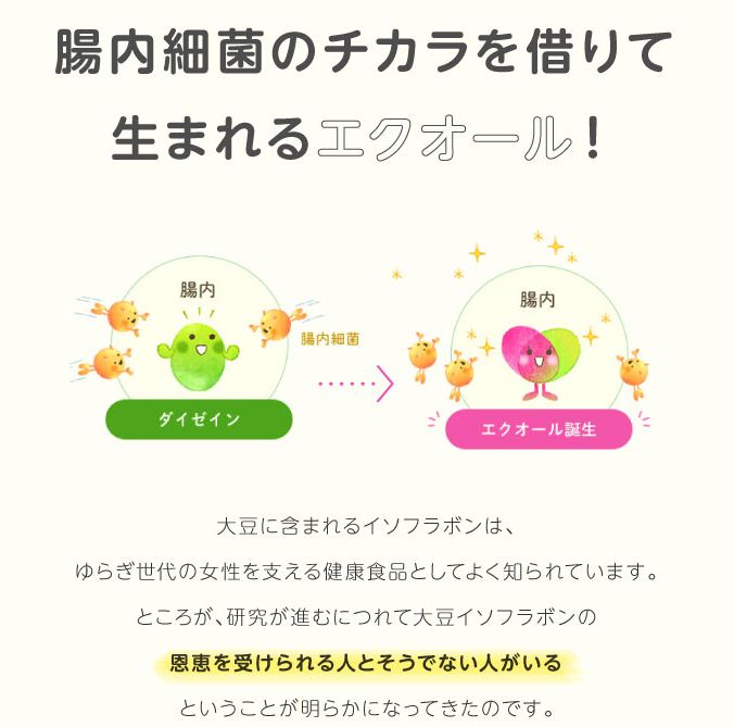 【楽天市場】エクエル パウチ 120粒 1袋 大塚製薬 送料無料 【即~3営業日出荷】 【2個購入で人気の洗顔ミニソープ プレゼント】 正規品