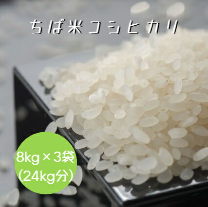楽天市場】令和7年産 千葉県産 多古米 コシヒカリ 白米 24kg (8kg×3袋 