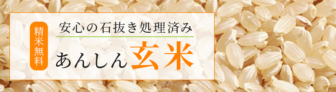 楽天市場】米 お米 白米 もち米 5kg 本州四国 送料無料 モチ米 餅米 : いそべ米屋 楽天市場店