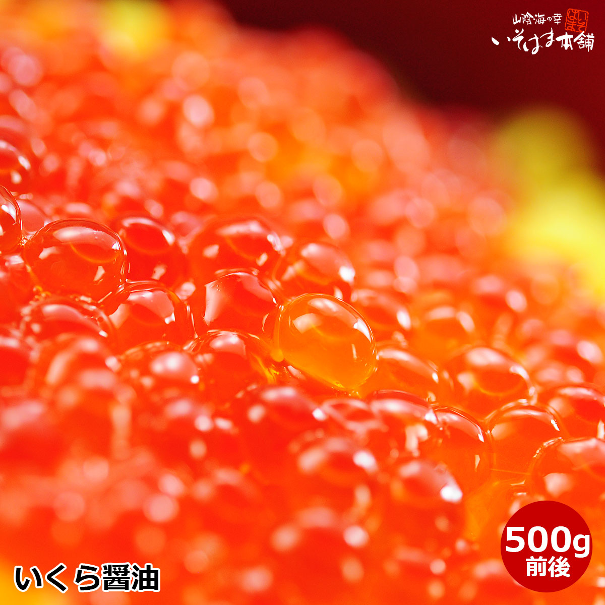 送料無料 お誕生日 ギフト プレゼント 北海道産 秋鮭 いくら醤油 500g 入り 北海道 秋鮭の卵 筋子から作っています いくら丼 海鮮丼 鮭めし いくらこぼし イクラ飯し サーモン海鮮丼 海鮮ちらし寿司 手巻き寿司 海鮮太巻き 御祝 贈答 海鮮 おつまみ お取り寄せ 寿司ネタ