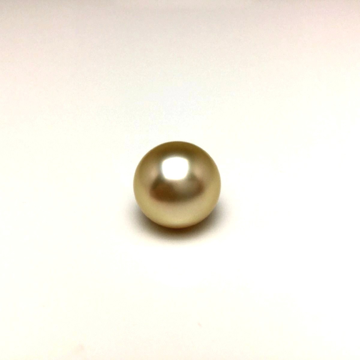 90%OFF!】 真珠 ネクタイピン パール 白蝶真珠 12.0mm ゴールド