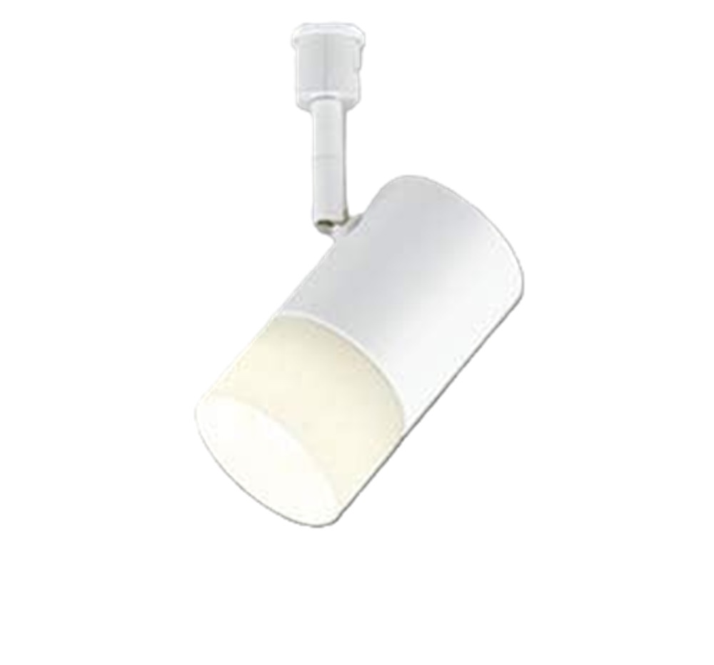 ＬＥＤアウトドアスポットライト スパイクタイプ ガンメタリック １１０Ｖφ５０ ランプ別売 ERS6916HE LEDアウトドアスポットライト スパイクタイプ ガンメタリック