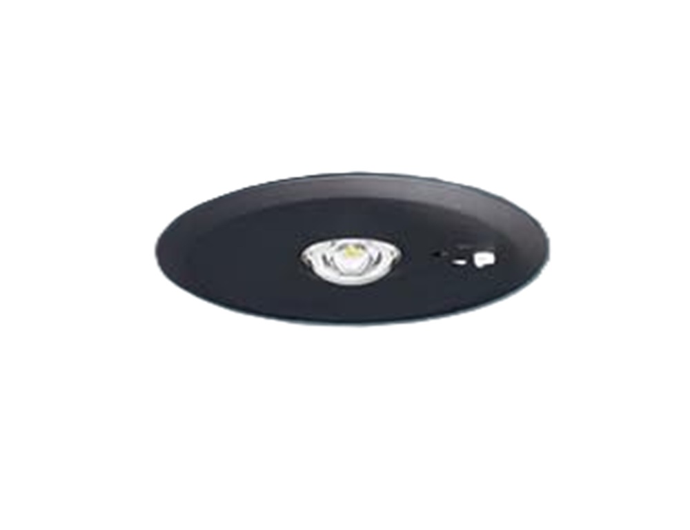 ＬＥＤ非常灯 埋込型３０分間タイプ 5000K 黒 EHL54012BA