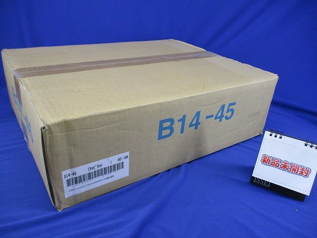 盤用キャビネット露出形 ライトベージュ塗装 B14-45｜電材センタ一成