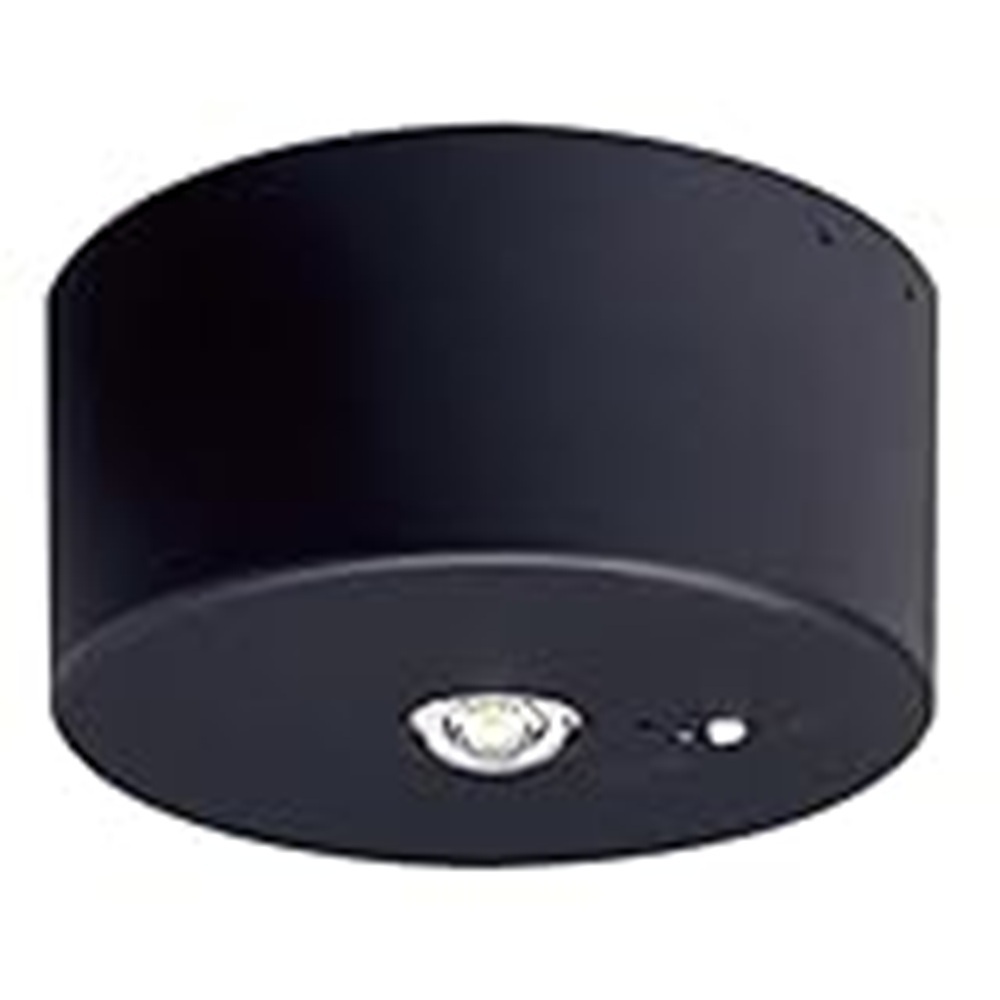 LED 非常用灯 上昇限度直付型 5000K 昼白いこと 非調光 中上昇限度用 蓄電池内蔵型 NNFB93045C