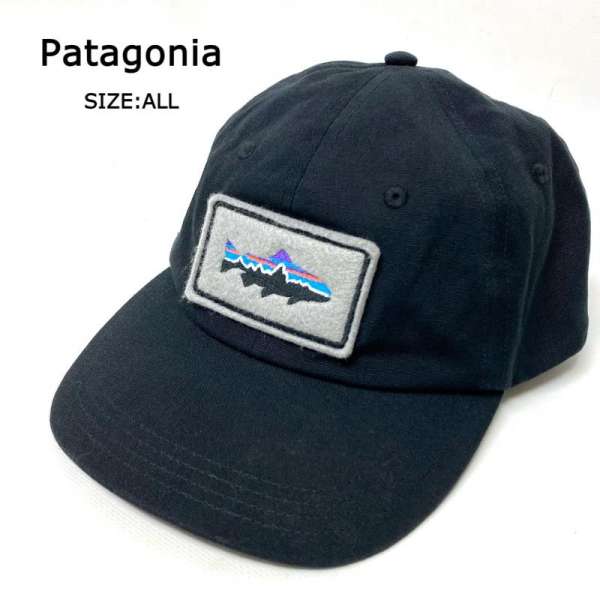 今季一番 幻級 超激レア Patagonia FLEXFIT トラウト キャップ 6パネル