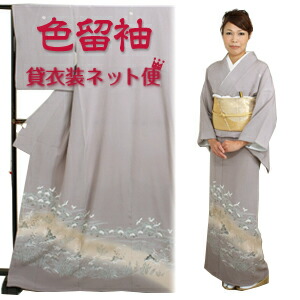 楽天市場】【色無地 レンタル 袷】〔10月〜5月向け〕色無地 正絹