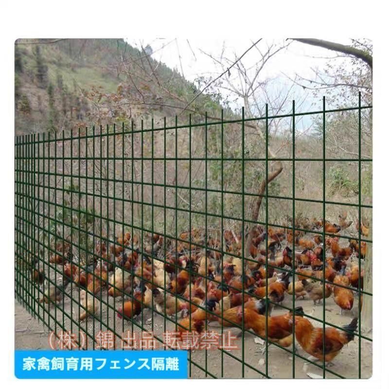 継続期間押さえる800円引き換え証 金網駒寄せ、1.2M（H）x 30M（L）針金ジンクメッキ6コマーシャルメッシュ大きさ2 MM針金差しわたし、株式会社錦 草木剣術を保護することする悧巧株式会社錦 1.2X30M